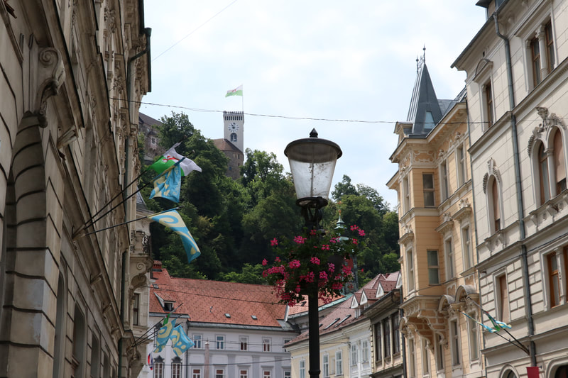 Razgled iz mesta, Ljubljana