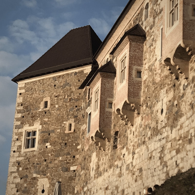 Ljubljanski grad, zidovi, palacij