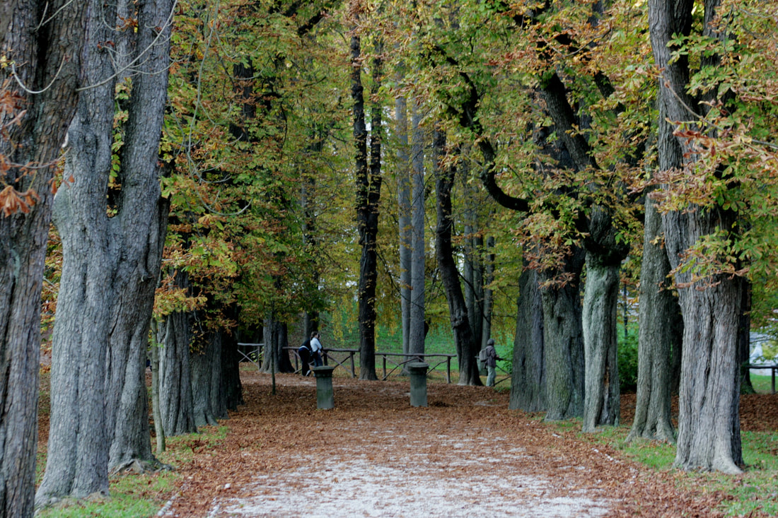 Ljubljana, zgodbe in magični park, Park Tivoli, pod mogočnimi drevesi, kostanji v parku